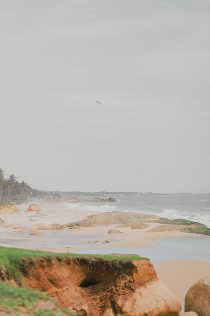 Coastal horizon analysis